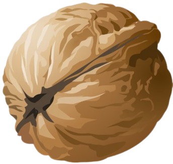 Walnut Whole